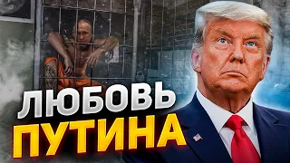 "Путин любит Украину": Трамп ошарашил заявлением о войне