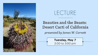 Beauties and the Beasts: Desert Cacti of California