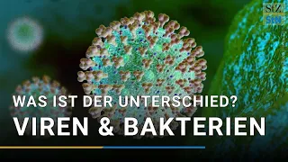 Viren oder Bakterien – wo ist der Unterschied?