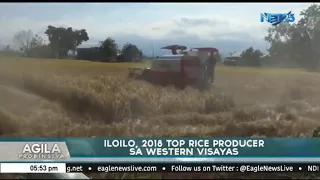 Iloilo, top rice producer sa Western Visayas noong 2018