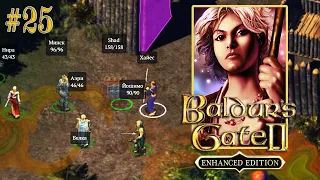 Нира и волшебники в красном — Baldur’s Gate 2: Enhanced Edition Прохождение игры #25