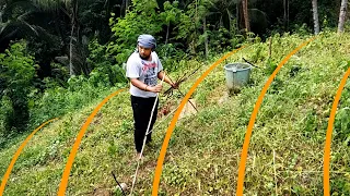 CONTOUR LINE LAYOUTING  USING A-FRAME | Permaculture and Sloping Agricultural Land Technology, SALT