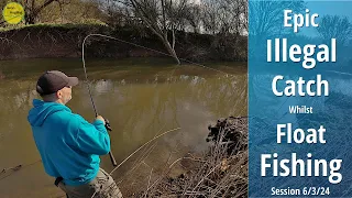 Epic Illegal Catch Whilst Float Fishing & A Very Strange Occurrence - 6/3/24 (Video 479)