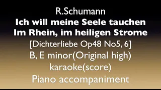 [Dichterliebe  Op48 No.5, 6]   R. Schumann   B, E minor(Original high)  Piano accompaniment(karaoke)