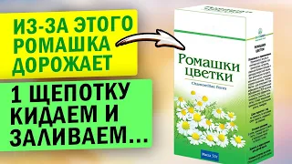 99% людей заваривают ромашку неправильно! Смотри, что исцеляет и как принимать даже...