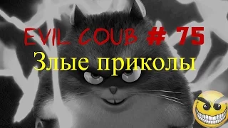 Evil Coub! Злые приколы! # 75 Эвил коуб! Best coub, подборка приколов!