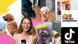 Titktok compilation - Cute Doggie Dogs Video's TikTok  Funny Vines  TikTok Best 2020 - Watch Now 😎🎞