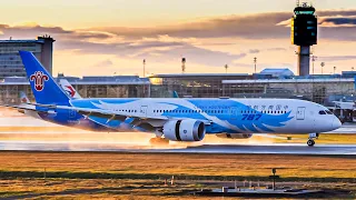 Early Morning Golden Arrivals | Plane Spotting at Vancouver YVR