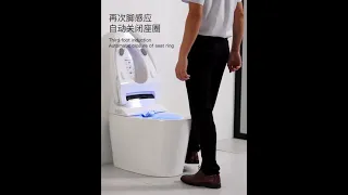 Умный унитаз Smart WC