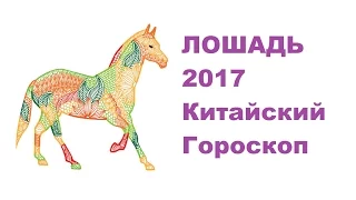Гороскоп Лошадь -2017. Астротиполог, Нумеролог - Дмитрий Шимко