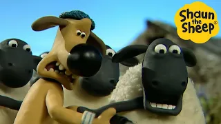 Shaun the Sheep 🐑 Sheep Drama - Cartoons for Kids 🐑 Full Episodes Compilation [1 hour]