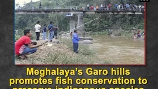 Meghalaya’s Garo hills promotes fish conservation to preserve indigenous species - ANI #News