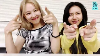 nayeon and chaeyoung vibin to love countdown