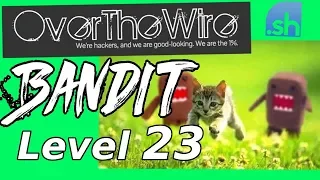 Linux Hacking: Shebang & Scripting | Bandit: OverTheWire (Level 23)