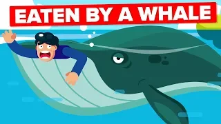 What If a Whale Accidentally Swallowed You?