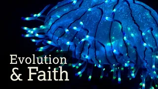 Evolution and Faith