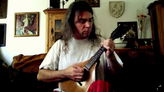 The Lilting Banshee (Irish jig) - mandolin