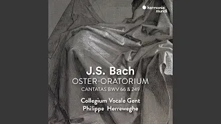 Cantata, BWV 249 "Oster-Oratorium": V. Seele, deine Spezereien (Aria Soprano)