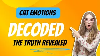 Cat Emotions Decoded: The Truth Revealed