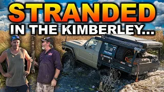 10 DESTROYED TYRES IN 50KM – Making our own track in 2m+ tall scrub! Kimberley after the wet season