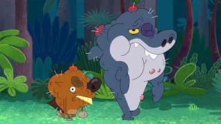 Zig & Sharko | The survivalists (Compilation) BEST CARTOON COLLECTION | New Episodes in HD