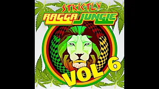 RAGGA JUNGLE IS MASSIVE VOL 6 MIXED BY DJ STP