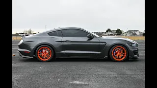 2019 Ford Mustang GT350 Walk-around Video