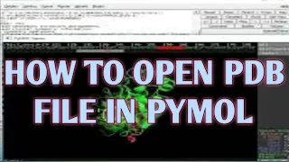 How to open PDB file using pymol ll pymol tutorial ll xgene and proteinx