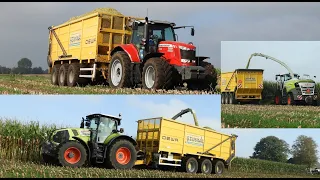 Nieuwe Claas jaguar 950 en Dewa drieassers in actie in de mais!  Mais hakselen door Reimink Den Ham