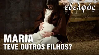 QUEM SÃO OS IRMÃOS DE JESUS MENCIONADOS EM MARCOS 6:3 E MATEUS 13:55-56? – Professor Responde 24 🎓