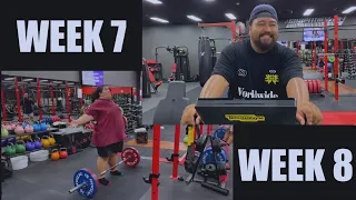 WEEK 7&8 - JS is out and David Performs