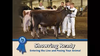 Showring Ready: Entering the Line & Posing Your Animal
