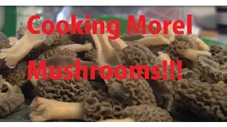 Wild Morel Mushroom Recipe! How to prepare cook morel mushrooms!