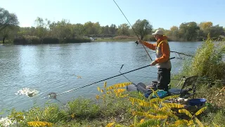 Pecanje tolstolobika fider tehnikom na Toploj Mlavi | Feeder fishing