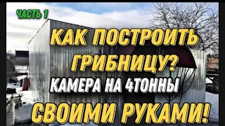 Как вырастить шампиньоны. Обзор грибной камеры.Как построить грибницу с нуля?