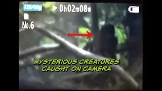 Mysterious Creatures Caught on Camera Trailer | Tennessee Woods LIVE NOV 8