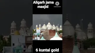 Aligarh jama masjid mein kitna Sona hai