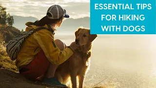 Tips for Hiking with Dogs