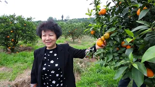 GLOBALink | Chinese female scientist helps villagers out of poverty