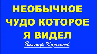 НЕОБЫЧНОЕ ЧУДО,  КОТОРОЕ Я ВИДЕЛ - Виктор Коротеев  - Вячеслав Бойнецкий