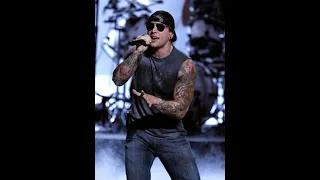 Avenged Sevenfold - Nobody (with M. Shadows 2008 Voice)