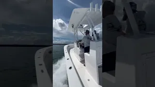 Shaking down the newest Orion 29!