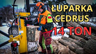 ŁUPARKA DO DREWNA CEDRUS 14 TON || Pierwsze wrażenia