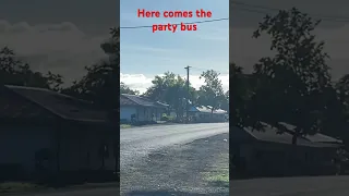 Here comes the Samoan party bus