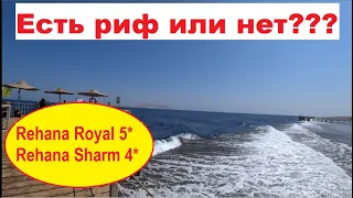 Rehana Royal 5* и Rehana Sharm 4* риф отеля и понтон Египет отдых 2021 октябрь