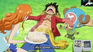 One piece -  Ep 784 " Luffy gets poisoned! Chopper cries and enjoys the meal. Funny scene!!