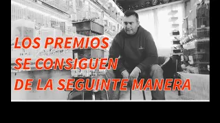 LOS PREMIOS SE CONSIGUEN DE LA SEGUINTE MANERA📑⏲️🖊🐦🇪🇸