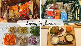 housewife daily life in japan | grocery shopping, make side dishes and make dinner