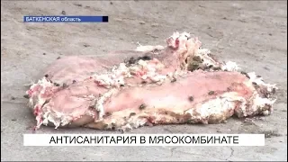 Антисанитария в мясокомбинате