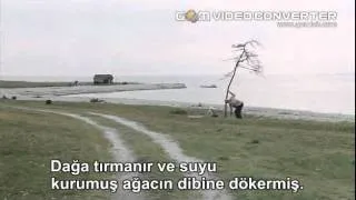 Offret - Kurban - Andrei Tarkovsky - Ağaç Dikme Sahnesi - Anektod